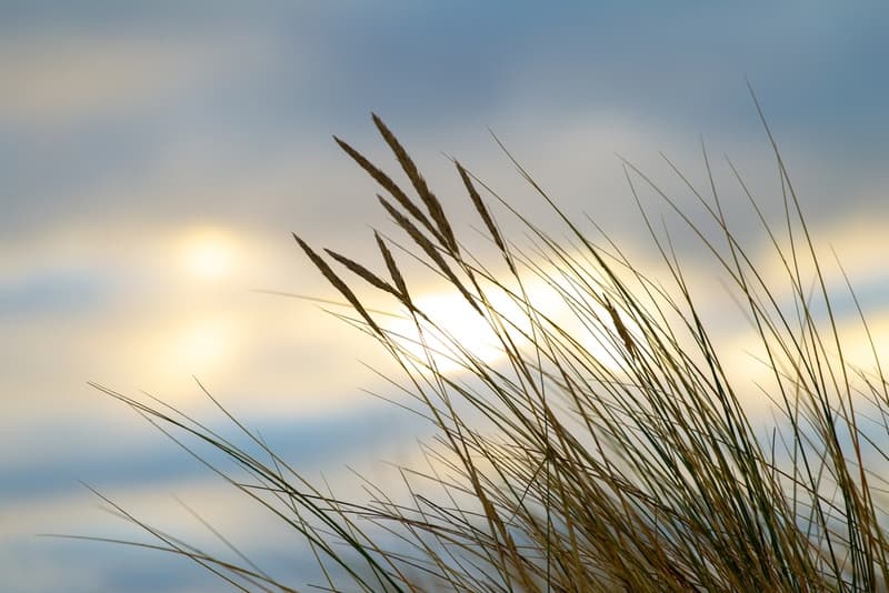 does-mindfulness-help-with-anxiety