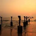 Psychiatrist in Calicut