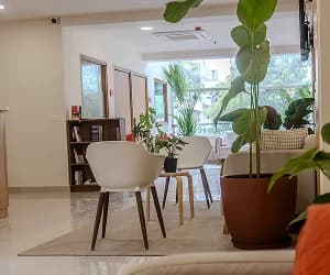 Amaha therapy centers