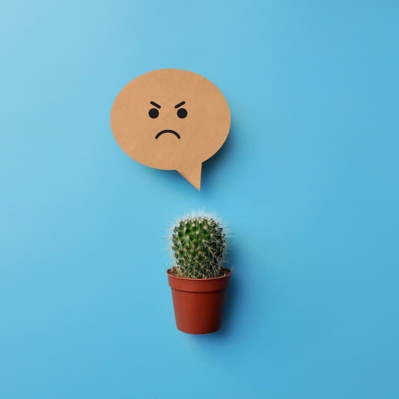 8 Healthy Ways to Cope with Anger