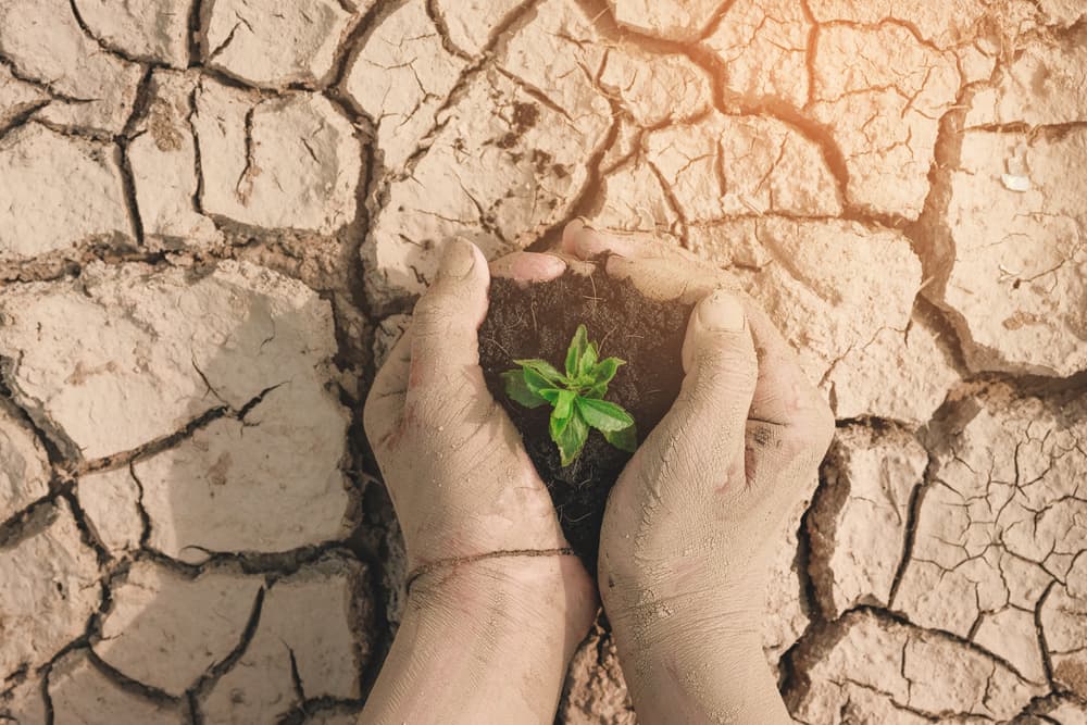 Climate Anxiety: How the Fear of Climate Change is Impacting Our Mental Health