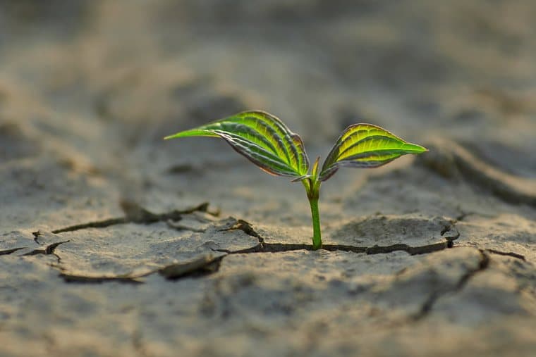 Cultivating Hope In Our Lives