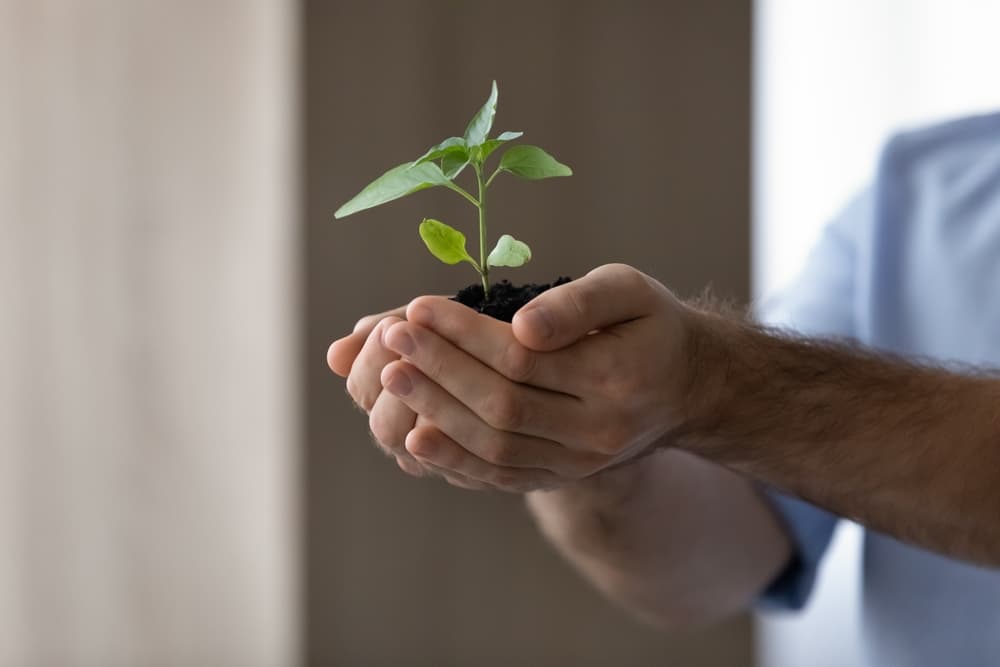 Make Mental Health and Well-Being For All a Global Priority