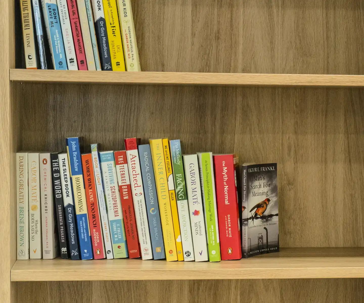 Library With Bookshelf